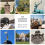 Latest News Featured Image